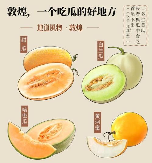 吃瓜走廊,娱乐圈幕后风云大揭秘