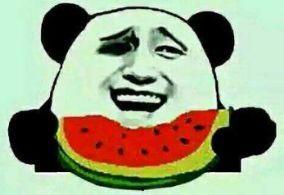 吃瓜群众潜水视频,水下世界里的欢乐时光