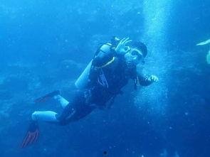 潜水吃瓜搞笑视频,潜水吃瓜搞笑视频集锦