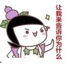 不吃瓜没吃明白