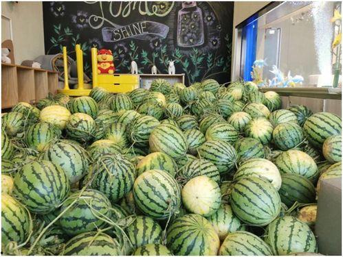 今日吃瓜成都mc,揭秘娱乐圈最新热点