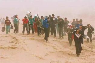 和平绿洲吃瓜,瓜果飘香，共享和谐生活