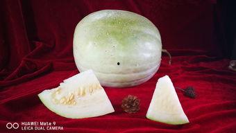 三白瓜加热吃,暖胃养生新选择