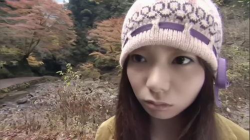 可欺 吃瓜人,揭秘现代社会的生存法则