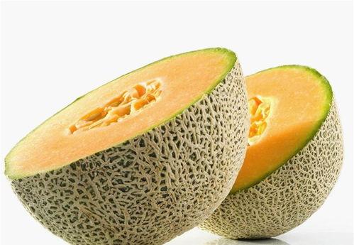 海马吃哈密瓜,与哈密瓜的甜蜜邂逅